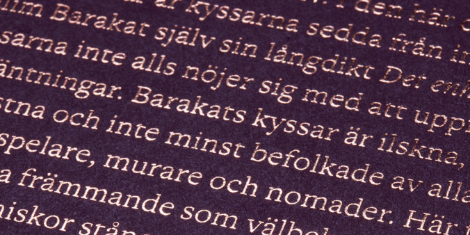 Det enhetligas högmod