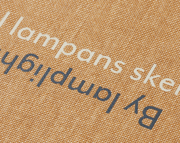 I lampans sken / By lamplight